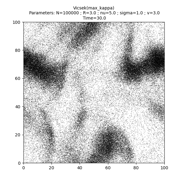 Vicsek(max_kappa)  Parameters: N=100000 ; R=3.0 ; nu=5.0 ; sigma=1.0 ; v=3.0  Time=30.0