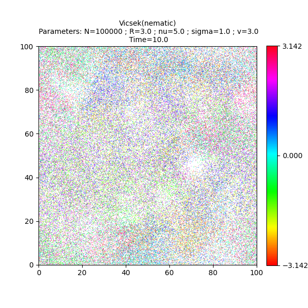 Vicsek(nematic)  Parameters: N=100000 ; R=3.0 ; nu=5.0 ; sigma=1.0 ; v=3.0  Time=10.0
