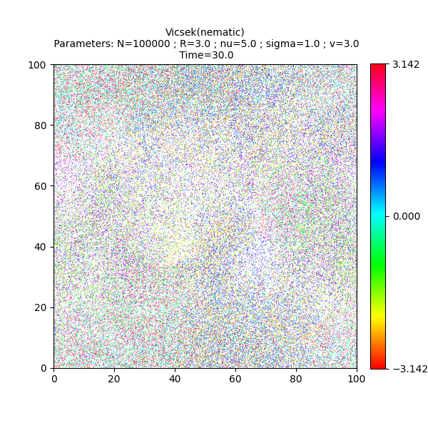 Vicsek(nematic)  Parameters: N=100000 ; R=3.0 ; nu=5.0 ; sigma=1.0 ; v=3.0  Time=30.0