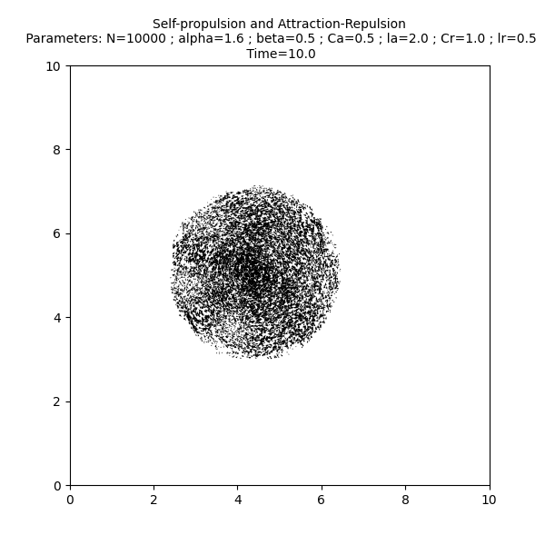 Self-propulsion and Attraction-Repulsion  Parameters: N=10000 ; alpha=1.6 ; beta=0.5 ; Ca=0.5 ; la=2.0 ; Cr=1.0 ; lr=0.5  Time=10.0