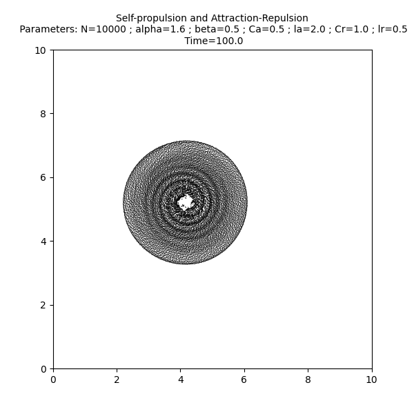 Self-propulsion and Attraction-Repulsion  Parameters: N=10000 ; alpha=1.6 ; beta=0.5 ; Ca=0.5 ; la=2.0 ; Cr=1.0 ; lr=0.5  Time=100.0