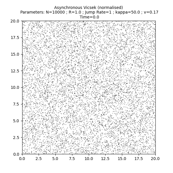 Asynchronous Vicsek (normalised)  Parameters: N=10000 ; R=1.0 ; Jump Rate=1 ; kappa=50.0 ; v=0.17  Time=0.0