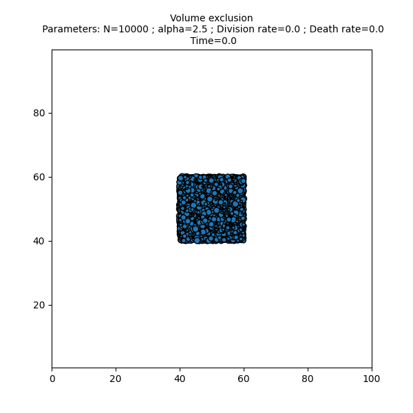 Volume exclusion  Parameters: N=10000 ; alpha=2.5 ; Division rate=0.0 ; Death rate=0.0  Time=0.0
