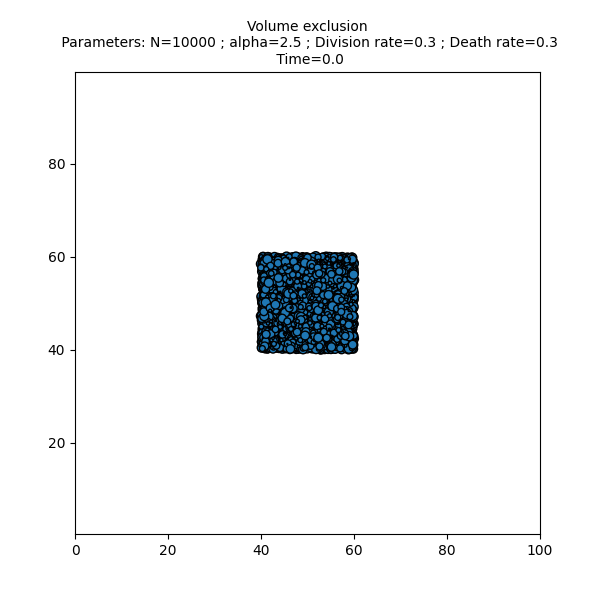 Volume exclusion  Parameters: N=10000 ; alpha=2.5 ; Division rate=0.3 ; Death rate=0.3  Time=0.0