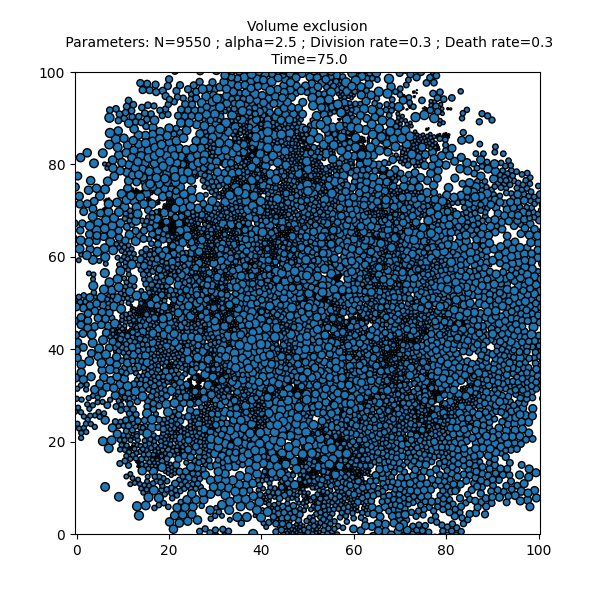 Volume exclusion  Parameters: N=9550 ; alpha=2.5 ; Division rate=0.3 ; Death rate=0.3  Time=75.0