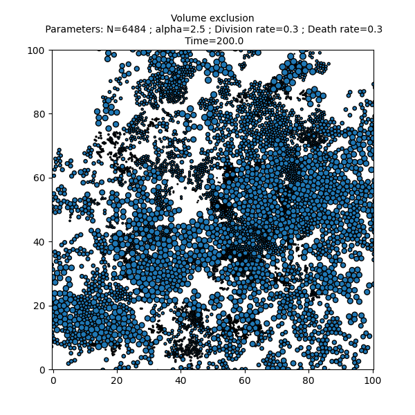 Volume exclusion  Parameters: N=6484 ; alpha=2.5 ; Division rate=0.3 ; Death rate=0.3  Time=200.0