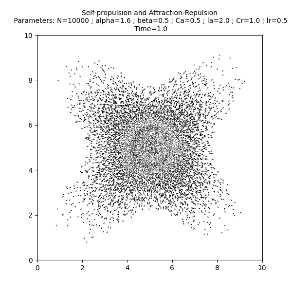 Self-propulsion and Attraction-Repulsion  Parameters: N=10000 ; alpha=1.6 ; beta=0.5 ; Ca=0.5 ; la=2.0 ; Cr=1.0 ; lr=0.5  Time=1.0
