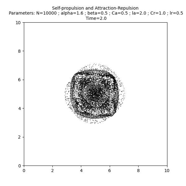 Self-propulsion and Attraction-Repulsion  Parameters: N=10000 ; alpha=1.6 ; beta=0.5 ; Ca=0.5 ; la=2.0 ; Cr=1.0 ; lr=0.5  Time=2.0