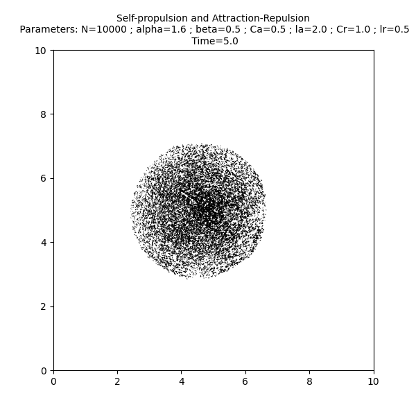 Self-propulsion and Attraction-Repulsion  Parameters: N=10000 ; alpha=1.6 ; beta=0.5 ; Ca=0.5 ; la=2.0 ; Cr=1.0 ; lr=0.5  Time=5.0