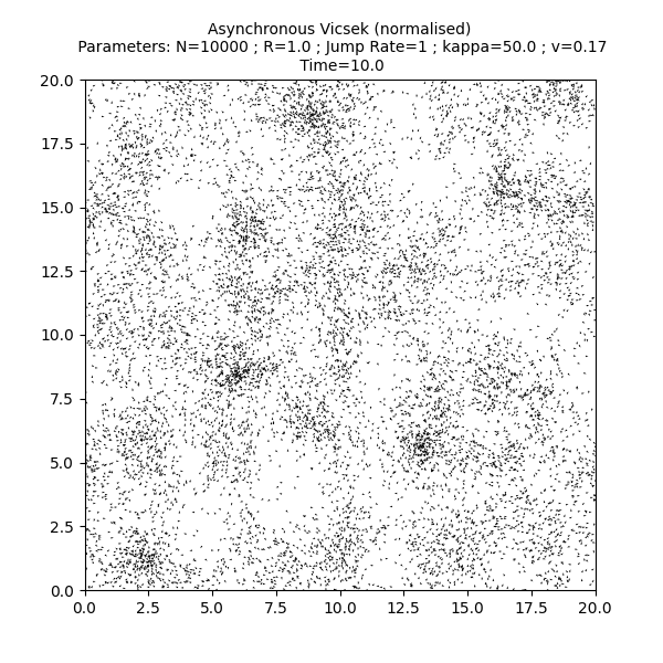 Asynchronous Vicsek (normalised)  Parameters: N=10000 ; R=1.0 ; Jump Rate=1 ; kappa=50.0 ; v=0.17  Time=10.0
