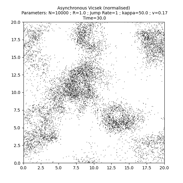 Asynchronous Vicsek (normalised)  Parameters: N=10000 ; R=1.0 ; Jump Rate=1 ; kappa=50.0 ; v=0.17  Time=30.0