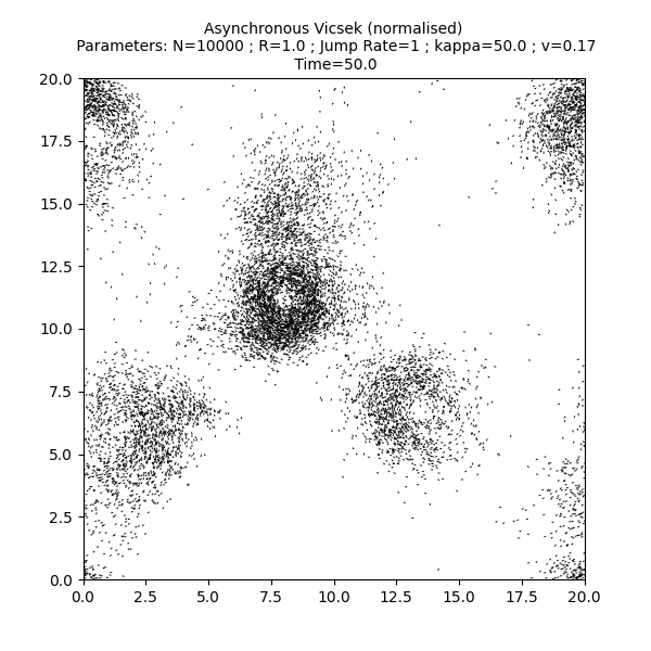 Asynchronous Vicsek (normalised)  Parameters: N=10000 ; R=1.0 ; Jump Rate=1 ; kappa=50.0 ; v=0.17  Time=50.0