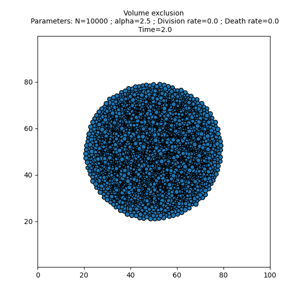 Volume exclusion  Parameters: N=10000 ; alpha=2.5 ; Division rate=0.0 ; Death rate=0.0  Time=2.0