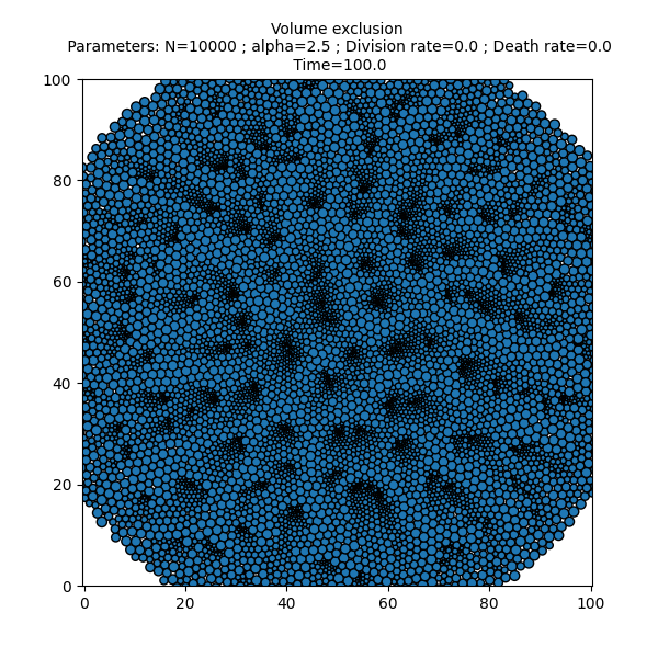 Volume exclusion  Parameters: N=10000 ; alpha=2.5 ; Division rate=0.0 ; Death rate=0.0  Time=100.0