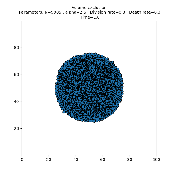 Volume exclusion  Parameters: N=9985 ; alpha=2.5 ; Division rate=0.3 ; Death rate=0.3  Time=1.0