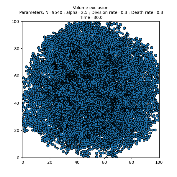 Volume exclusion  Parameters: N=9540 ; alpha=2.5 ; Division rate=0.3 ; Death rate=0.3  Time=30.0